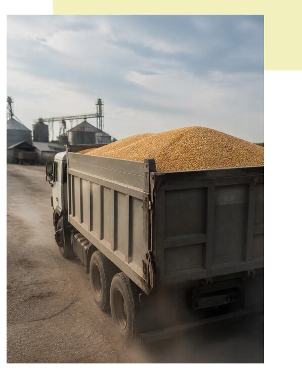Перевозка сельхозпродукции навалом в Еманжелинск по цене от 3081 р. | Агросервис-Мнж